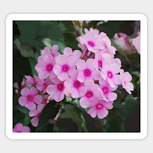 Pretty Pink Floral Blooms Sticker